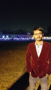 Hassan Raza