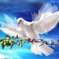 أم تقي الدين