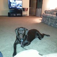 Janice Karhoff Ricker