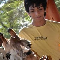 Rohan Mehta