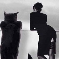 Марина Светлова