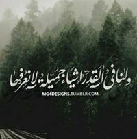 Omar Mohamed
