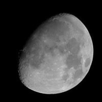 Frederick McLean-Brown