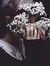 Heba