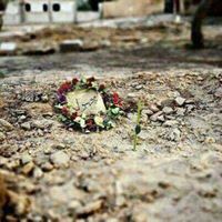 هاجر النحراوي