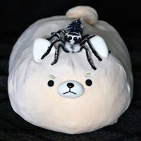 Дженнер Ктулху