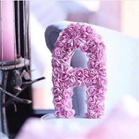 الدرة المصونة