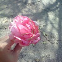 ورد البيلسان