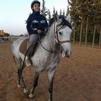 محمد الفيله