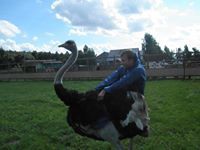 Сергей Ефимов