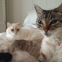 Michael J. Risenhoover