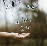 نادية صالحي