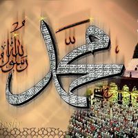 محمد الشهاوي