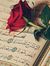 Ghada E...
