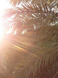 حسن ال غزوي