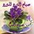 Amr Fouda