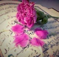 Deena Ahmad