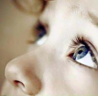 ياسمين الشام