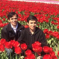 قدرت فکرت عالمی