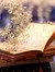 Leer En el Sur