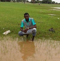 رضوان سعدالدين