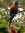 Josephine Bird | 31 comments