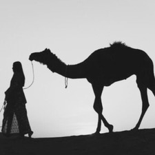 عائشة الظاعن