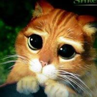 Сребърно Сияние