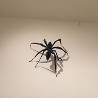 Maryline Fiallos-Delpy