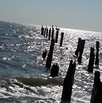 tyrone aguillard jr.