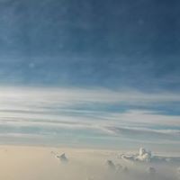 مختار العلي