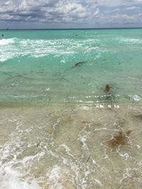 QueenLatrice TheFirst