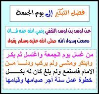 Tarek SH