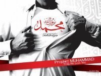 Mohamed Abo Bakr