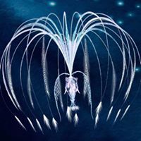 Udayanga Samarasingha