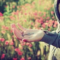 Amel RM