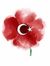 Anam Kh...