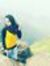 Aarya K...