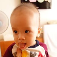 Viet Nt