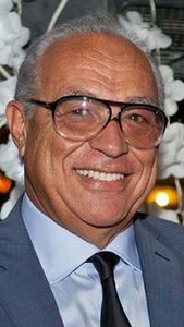 Mohamed Alaa Elsayed