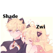 Zwi_Shade