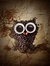 Loree D...