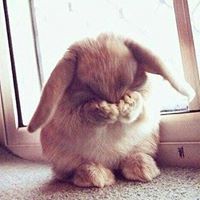 tabata martin navarrete