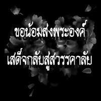 นิภาพร กลางไชย