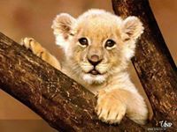 Saravanan Doraiswamy