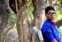 কুমিরের বাচ্চা