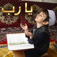 Nasser Talal
