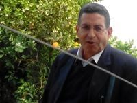 Elsayed Amer