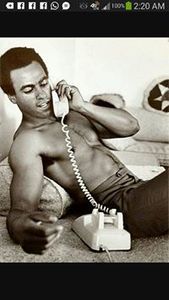 LMichelle Bruns-Wade