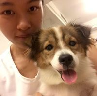 Linwei Li